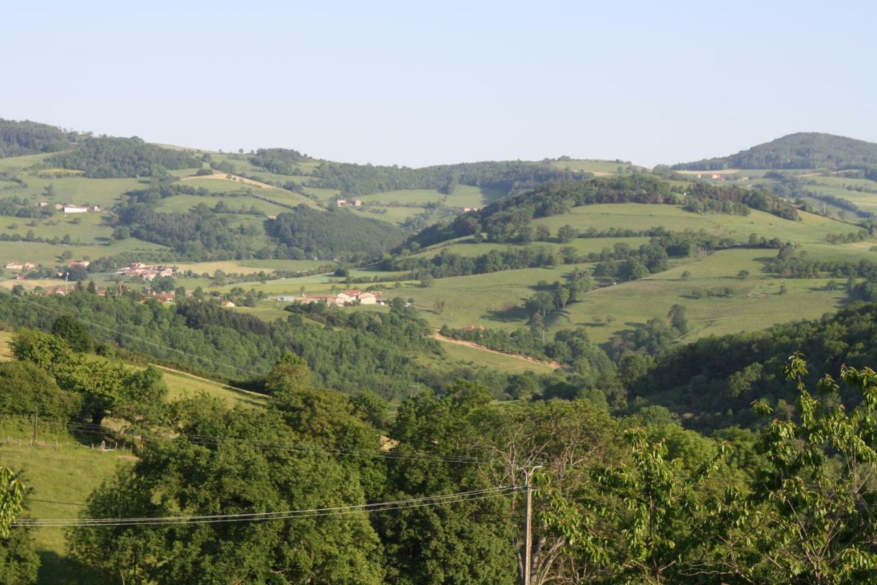 Le Clos Du Jubin Tarare Luaran gambar
